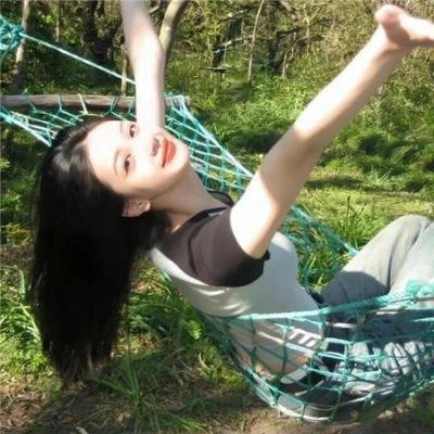 怪趣群鸟